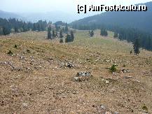 [P06] Privire asupra poienii Zanoaga, chiar inainte de a ne afunda in desisul padurii » foto by Claudiu U.
 - 
<span class="allrVoted glyphicon glyphicon-heart hidden" id="av281825"></span>
<a class="m-l-10 hidden" id="sv281825" onclick="voting_Foto_DelVot(,281825,5764)" role="button">șterge vot <span class="glyphicon glyphicon-remove"></span></a>
<a id="v9281825" class=" c-red"  onclick="voting_Foto_SetVot(281825)" role="button"><span class="glyphicon glyphicon-heart-empty"></span> <b>LIKE</b> = Votează poza</a> <img class="hidden"  id="f281825W9" src="/imagini/loader.gif" border="0" /><span class="AjErrMes hidden" id="e281825ErM"></span>