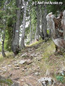 [P07] Cararea dintre poiana Zanoaga si platoul Pietrei Mici » foto by Claudiu U.
 - 
<span class="allrVoted glyphicon glyphicon-heart hidden" id="av281826"></span>
<a class="m-l-10 hidden" id="sv281826" onclick="voting_Foto_DelVot(,281826,5764)" role="button">șterge vot <span class="glyphicon glyphicon-remove"></span></a>
<a id="v9281826" class=" c-red"  onclick="voting_Foto_SetVot(281826)" role="button"><span class="glyphicon glyphicon-heart-empty"></span> <b>LIKE</b> = Votează poza</a> <img class="hidden"  id="f281826W9" src="/imagini/loader.gif" border="0" /><span class="AjErrMes hidden" id="e281826ErM"></span>