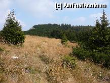 [P09] Privind din poiana Pietrei Mici catre crucea de unde tocmai plecaseram » foto by Claudiu U.
 - 
<span class="allrVoted glyphicon glyphicon-heart hidden" id="av281829"></span>
<a class="m-l-10 hidden" id="sv281829" onclick="voting_Foto_DelVot(,281829,5764)" role="button">șterge vot <span class="glyphicon glyphicon-remove"></span></a>
<a id="v9281829" class=" c-red"  onclick="voting_Foto_SetVot(281829)" role="button"><span class="glyphicon glyphicon-heart-empty"></span> <b>LIKE</b> = Votează poza</a> <img class="hidden"  id="f281829W9" src="/imagini/loader.gif" border="0" /><span class="AjErrMes hidden" id="e281829ErM"></span>