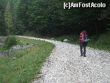 [P01] Valea Seaca a pietrelor - dupa bariera de la Brusturet » foto by Lumis66
 - 
<span class="allrVoted glyphicon glyphicon-heart hidden" id="av229369"></span>
<a class="m-l-10 hidden" id="sv229369" onclick="voting_Foto_DelVot(,229369,5764)" role="button">șterge vot <span class="glyphicon glyphicon-remove"></span></a>
<a id="v9229369" class=" c-red"  onclick="voting_Foto_SetVot(229369)" role="button"><span class="glyphicon glyphicon-heart-empty"></span> <b>LIKE</b> = Votează poza</a> <img class="hidden"  id="f229369W9" src="/imagini/loader.gif" border="0" /><span class="AjErrMes hidden" id="e229369ErM"></span>
