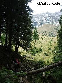 [P15] Din padure iesim in Plaiul Grindului » foto by Lumis66
 - 
<span class="allrVoted glyphicon glyphicon-heart hidden" id="av229385"></span>
<a class="m-l-10 hidden" id="sv229385" onclick="voting_Foto_DelVot(,229385,5764)" role="button">șterge vot <span class="glyphicon glyphicon-remove"></span></a>
<a id="v9229385" class=" c-red"  onclick="voting_Foto_SetVot(229385)" role="button"><span class="glyphicon glyphicon-heart-empty"></span> <b>LIKE</b> = Votează poza</a> <img class="hidden"  id="f229385W9" src="/imagini/loader.gif" border="0" /><span class="AjErrMes hidden" id="e229385ErM"></span>