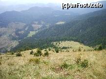 [P19] In stanga se vad locurile defrisate si potecile pe care am venit » foto by Lumis66
 - 
<span class="allrVoted glyphicon glyphicon-heart hidden" id="av229393"></span>
<a class="m-l-10 hidden" id="sv229393" onclick="voting_Foto_DelVot(,229393,5764)" role="button">șterge vot <span class="glyphicon glyphicon-remove"></span></a>
<a id="v9229393" class=" c-red"  onclick="voting_Foto_SetVot(229393)" role="button"><span class="glyphicon glyphicon-heart-empty"></span> <b>LIKE</b> = Votează poza</a> <img class="hidden"  id="f229393W9" src="/imagini/loader.gif" border="0" /><span class="AjErrMes hidden" id="e229393ErM"></span>