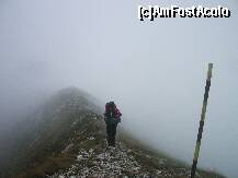 [P24] Si vine tot mai deasa » foto by Lumis66
 - 
<span class="allrVoted glyphicon glyphicon-heart hidden" id="av229410"></span>
<a class="m-l-10 hidden" id="sv229410" onclick="voting_Foto_DelVot(,229410,5764)" role="button">șterge vot <span class="glyphicon glyphicon-remove"></span></a>
<a id="v9229410" class=" c-red"  onclick="voting_Foto_SetVot(229410)" role="button"><span class="glyphicon glyphicon-heart-empty"></span> <b>LIKE</b> = Votează poza</a> <img class="hidden"  id="f229410W9" src="/imagini/loader.gif" border="0" /><span class="AjErrMes hidden" id="e229410ErM"></span>