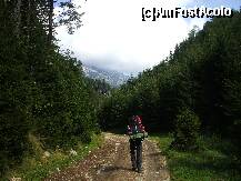 [P07] A inceput sa se vada Piatra Craiului » foto by Lumis66
 - 
<span class="allrVoted glyphicon glyphicon-heart hidden" id="av229377"></span>
<a class="m-l-10 hidden" id="sv229377" onclick="voting_Foto_DelVot(,229377,5764)" role="button">șterge vot <span class="glyphicon glyphicon-remove"></span></a>
<a id="v9229377" class=" c-red"  onclick="voting_Foto_SetVot(229377)" role="button"><span class="glyphicon glyphicon-heart-empty"></span> <b>LIKE</b> = Votează poza</a> <img class="hidden"  id="f229377W9" src="/imagini/loader.gif" border="0" /><span class="AjErrMes hidden" id="e229377ErM"></span>