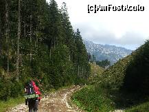 [P08] Padurea se termina brusc si incep defrisarile » foto by Lumis66
 - 
<span class="allrVoted glyphicon glyphicon-heart hidden" id="av229378"></span>
<a class="m-l-10 hidden" id="sv229378" onclick="voting_Foto_DelVot(,229378,5764)" role="button">șterge vot <span class="glyphicon glyphicon-remove"></span></a>
<a id="v9229378" class=" c-red"  onclick="voting_Foto_SetVot(229378)" role="button"><span class="glyphicon glyphicon-heart-empty"></span> <b>LIKE</b> = Votează poza</a> <img class="hidden"  id="f229378W9" src="/imagini/loader.gif" border="0" /><span class="AjErrMes hidden" id="e229378ErM"></span>