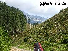 [P09] Un versant defrisat, mai sunt si altii » foto by Lumis66
 - 
<span class="allrVoted glyphicon glyphicon-heart hidden" id="av229379"></span>
<a class="m-l-10 hidden" id="sv229379" onclick="voting_Foto_DelVot(,229379,5764)" role="button">șterge vot <span class="glyphicon glyphicon-remove"></span></a>
<a id="v9229379" class=" c-red"  onclick="voting_Foto_SetVot(229379)" role="button"><span class="glyphicon glyphicon-heart-empty"></span> <b>LIKE</b> = Votează poza</a> <img class="hidden"  id="f229379W9" src="/imagini/loader.gif" border="0" /><span class="AjErrMes hidden" id="e229379ErM"></span>