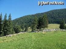 [P01] Poiana Zanoaga - de aici se desprinde  traseul spre varful Pietrei Mici » foto by Lumis66
 - 
<span class="allrVoted glyphicon glyphicon-heart hidden" id="av231919"></span>
<a class="m-l-10 hidden" id="sv231919" onclick="voting_Foto_DelVot(,231919,5764)" role="button">șterge vot <span class="glyphicon glyphicon-remove"></span></a>
<a id="v9231919" class=" c-red"  onclick="voting_Foto_SetVot(231919)" role="button"><span class="glyphicon glyphicon-heart-empty"></span> <b>LIKE</b> = Votează poza</a> <img class="hidden"  id="f231919W9" src="/imagini/loader.gif" border="0" /><span class="AjErrMes hidden" id="e231919ErM"></span>