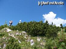 [P11] Aproape am ajuns in varf » foto by Lumis66
 - 
<span class="allrVoted glyphicon glyphicon-heart hidden" id="av231939"></span>
<a class="m-l-10 hidden" id="sv231939" onclick="voting_Foto_DelVot(,231939,5764)" role="button">șterge vot <span class="glyphicon glyphicon-remove"></span></a>
<a id="v9231939" class=" c-red"  onclick="voting_Foto_SetVot(231939)" role="button"><span class="glyphicon glyphicon-heart-empty"></span> <b>LIKE</b> = Votează poza</a> <img class="hidden"  id="f231939W9" src="/imagini/loader.gif" border="0" /><span class="AjErrMes hidden" id="e231939ErM"></span>