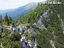 [P13] Si am pornit pe creasta dantelata » foto by Lumis66
 - 
<span class="allrVoted glyphicon glyphicon-heart hidden" id="av231941"></span>
<a class="m-l-10 hidden" id="sv231941" onclick="voting_Foto_DelVot(,231941,5764)" role="button">șterge vot <span class="glyphicon glyphicon-remove"></span></a>
<a id="v9231941" class=" c-red"  onclick="voting_Foto_SetVot(231941)" role="button"><span class="glyphicon glyphicon-heart-empty"></span> <b>LIKE</b> = Votează poza</a> <img class="hidden"  id="f231941W9" src="/imagini/loader.gif" border="0" /><span class="AjErrMes hidden" id="e231941ErM"></span>