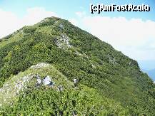 [P14] iar o prtiune cu jnepeni » foto by Lumis66
 - 
<span class="allrVoted glyphicon glyphicon-heart hidden" id="av231942"></span>
<a class="m-l-10 hidden" id="sv231942" onclick="voting_Foto_DelVot(,231942,5764)" role="button">șterge vot <span class="glyphicon glyphicon-remove"></span></a>
<a id="v9231942" class=" c-red"  onclick="voting_Foto_SetVot(231942)" role="button"><span class="glyphicon glyphicon-heart-empty"></span> <b>LIKE</b> = Votează poza</a> <img class="hidden"  id="f231942W9" src="/imagini/loader.gif" border="0" /><span class="AjErrMes hidden" id="e231942ErM"></span>