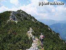 [P17] Spre varful Padina Popii » foto by Lumis66
 - 
<span class="allrVoted glyphicon glyphicon-heart hidden" id="av231945"></span>
<a class="m-l-10 hidden" id="sv231945" onclick="voting_Foto_DelVot(,231945,5764)" role="button">șterge vot <span class="glyphicon glyphicon-remove"></span></a>
<a id="v9231945" class=" c-red"  onclick="voting_Foto_SetVot(231945)" role="button"><span class="glyphicon glyphicon-heart-empty"></span> <b>LIKE</b> = Votează poza</a> <img class="hidden"  id="f231945W9" src="/imagini/loader.gif" border="0" /><span class="AjErrMes hidden" id="e231945ErM"></span>