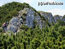 [P18] Mai avem de catarat » foto by Lumis66
 - 
<span class="allrVoted glyphicon glyphicon-heart hidden" id="av231946"></span>
<a class="m-l-10 hidden" id="sv231946" onclick="voting_Foto_DelVot(,231946,5764)" role="button">șterge vot <span class="glyphicon glyphicon-remove"></span></a>
<a id="v9231946" class=" c-red"  onclick="voting_Foto_SetVot(231946)" role="button"><span class="glyphicon glyphicon-heart-empty"></span> <b>LIKE</b> = Votează poza</a> <img class="hidden"  id="f231946W9" src="/imagini/loader.gif" border="0" /><span class="AjErrMes hidden" id="e231946ErM"></span>