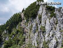 [P20] Piatra Craiului - mai cataram » foto by Lumis66
 - 
<span class="allrVoted glyphicon glyphicon-heart hidden" id="av231948"></span>
<a class="m-l-10 hidden" id="sv231948" onclick="voting_Foto_DelVot(,231948,5764)" role="button">șterge vot <span class="glyphicon glyphicon-remove"></span></a>
<a id="v9231948" class=" c-red"  onclick="voting_Foto_SetVot(231948)" role="button"><span class="glyphicon glyphicon-heart-empty"></span> <b>LIKE</b> = Votează poza</a> <img class="hidden"  id="f231948W9" src="/imagini/loader.gif" border="0" /><span class="AjErrMes hidden" id="e231948ErM"></span>