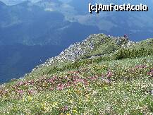 [P23] Flori de smirdar pe Ascutit » foto by Lumis66
 - 
<span class="allrVoted glyphicon glyphicon-heart hidden" id="av231951"></span>
<a class="m-l-10 hidden" id="sv231951" onclick="voting_Foto_DelVot(,231951,5764)" role="button">șterge vot <span class="glyphicon glyphicon-remove"></span></a>
<a id="v9231951" class=" c-red"  onclick="voting_Foto_SetVot(231951)" role="button"><span class="glyphicon glyphicon-heart-empty"></span> <b>LIKE</b> = Votează poza</a> <img class="hidden"  id="f231951W9" src="/imagini/loader.gif" border="0" /><span class="AjErrMes hidden" id="e231951ErM"></span>