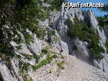 [P06] Dupa zona de grohotis incepe cataratul » foto by Lumis66
 - 
<span class="allrVoted glyphicon glyphicon-heart hidden" id="av231934"></span>
<a class="m-l-10 hidden" id="sv231934" onclick="voting_Foto_DelVot(,231934,5764)" role="button">șterge vot <span class="glyphicon glyphicon-remove"></span></a>
<a id="v9231934" class=" c-red"  onclick="voting_Foto_SetVot(231934)" role="button"><span class="glyphicon glyphicon-heart-empty"></span> <b>LIKE</b> = Votează poza</a> <img class="hidden"  id="f231934W9" src="/imagini/loader.gif" border="0" /><span class="AjErrMes hidden" id="e231934ErM"></span>