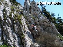 [P07] Prima stanca de catarat dar avem cablu » foto by Lumis66
 - 
<span class="allrVoted glyphicon glyphicon-heart hidden" id="av231935"></span>
<a class="m-l-10 hidden" id="sv231935" onclick="voting_Foto_DelVot(,231935,5764)" role="button">șterge vot <span class="glyphicon glyphicon-remove"></span></a>
<a id="v9231935" class=" c-red"  onclick="voting_Foto_SetVot(231935)" role="button"><span class="glyphicon glyphicon-heart-empty"></span> <b>LIKE</b> = Votează poza</a> <img class="hidden"  id="f231935W9" src="/imagini/loader.gif" border="0" /><span class="AjErrMes hidden" id="e231935ErM"></span>