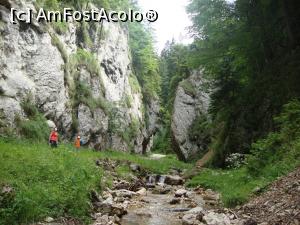 [P10] La plimbare prin Prăpăstiile Zărneştilor.  » foto by Floryn81
 - 
<span class="allrVoted glyphicon glyphicon-heart hidden" id="av878758"></span>
<a class="m-l-10 hidden" id="sv878758" onclick="voting_Foto_DelVot(,878758,5764)" role="button">șterge vot <span class="glyphicon glyphicon-remove"></span></a>
<a id="v9878758" class=" c-red"  onclick="voting_Foto_SetVot(878758)" role="button"><span class="glyphicon glyphicon-heart-empty"></span> <b>LIKE</b> = Votează poza</a> <img class="hidden"  id="f878758W9" src="/imagini/loader.gif" border="0" /><span class="AjErrMes hidden" id="e878758ErM"></span>