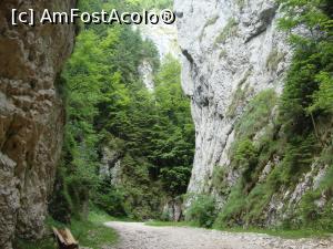 [P11] Prăpăstiile Zărneştilor - natura a regizat un spectacol grandios.  » foto by Floryn81
 - 
<span class="allrVoted glyphicon glyphicon-heart hidden" id="av878759"></span>
<a class="m-l-10 hidden" id="sv878759" onclick="voting_Foto_DelVot(,878759,5764)" role="button">șterge vot <span class="glyphicon glyphicon-remove"></span></a>
<a id="v9878759" class=" c-red"  onclick="voting_Foto_SetVot(878759)" role="button"><span class="glyphicon glyphicon-heart-empty"></span> <b>LIKE</b> = Votează poza</a> <img class="hidden"  id="f878759W9" src="/imagini/loader.gif" border="0" /><span class="AjErrMes hidden" id="e878759ErM"></span>