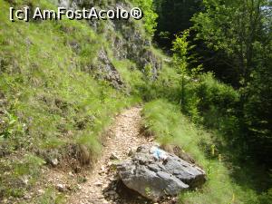 [P14] Urmăm marcajul „dungă albastră pe fond alb” către Cabana Curmătura. Poteca începe să urce susţinut şi intră în pădure. Din acest loc, estimarea afişată era de o oră şi jumătate – două ore.  » foto by Floryn81
 - 
<span class="allrVoted glyphicon glyphicon-heart hidden" id="av878762"></span>
<a class="m-l-10 hidden" id="sv878762" onclick="voting_Foto_DelVot(,878762,5764)" role="button">șterge vot <span class="glyphicon glyphicon-remove"></span></a>
<a id="v9878762" class=" c-red"  onclick="voting_Foto_SetVot(878762)" role="button"><span class="glyphicon glyphicon-heart-empty"></span> <b>LIKE</b> = Votează poza</a> <img class="hidden"  id="f878762W9" src="/imagini/loader.gif" border="0" /><span class="AjErrMes hidden" id="e878762ErM"></span>