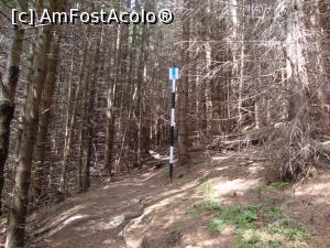 [P16] Pădurea devine şi ea tot mai deasă.  » foto by Floryn81
 - 
<span class="allrVoted glyphicon glyphicon-heart hidden" id="av878764"></span>
<a class="m-l-10 hidden" id="sv878764" onclick="voting_Foto_DelVot(,878764,5764)" role="button">șterge vot <span class="glyphicon glyphicon-remove"></span></a>
<a id="v9878764" class=" c-red"  onclick="voting_Foto_SetVot(878764)" role="button"><span class="glyphicon glyphicon-heart-empty"></span> <b>LIKE</b> = Votează poza</a> <img class="hidden"  id="f878764W9" src="/imagini/loader.gif" border="0" /><span class="AjErrMes hidden" id="e878764ErM"></span>