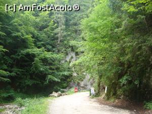 [P02] Dincolo de barieră începe spectacolul naturii - Prăpăstiile Zărneştilor!  » foto by Floryn81
 - 
<span class="allrVoted glyphicon glyphicon-heart hidden" id="av878750"></span>
<a class="m-l-10 hidden" id="sv878750" onclick="voting_Foto_DelVot(,878750,5764)" role="button">șterge vot <span class="glyphicon glyphicon-remove"></span></a>
<a id="v9878750" class=" c-red"  onclick="voting_Foto_SetVot(878750)" role="button"><span class="glyphicon glyphicon-heart-empty"></span> <b>LIKE</b> = Votează poza</a> <img class="hidden"  id="f878750W9" src="/imagini/loader.gif" border="0" /><span class="AjErrMes hidden" id="e878750ErM"></span>