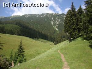 [P23] Locul unde am făcut popas, bucurându-ne de un cadru natural de vis.  » foto by Floryn81
 - 
<span class="allrVoted glyphicon glyphicon-heart hidden" id="av878771"></span>
<a class="m-l-10 hidden" id="sv878771" onclick="voting_Foto_DelVot(,878771,5764)" role="button">șterge vot <span class="glyphicon glyphicon-remove"></span></a>
<a id="v9878771" class=" c-red"  onclick="voting_Foto_SetVot(878771)" role="button"><span class="glyphicon glyphicon-heart-empty"></span> <b>LIKE</b> = Votează poza</a> <img class="hidden"  id="f878771W9" src="/imagini/loader.gif" border="0" /><span class="AjErrMes hidden" id="e878771ErM"></span>