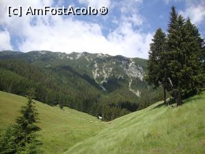 [P24] Am făcut mai multe fotografii din acest loc. În poiană păşteau mai multe văcuţe.  » foto by Floryn81
 - 
<span class="allrVoted glyphicon glyphicon-heart hidden" id="av878772"></span>
<a class="m-l-10 hidden" id="sv878772" onclick="voting_Foto_DelVot(,878772,5764)" role="button">șterge vot <span class="glyphicon glyphicon-remove"></span></a>
<a id="v9878772" class=" c-red"  onclick="voting_Foto_SetVot(878772)" role="button"><span class="glyphicon glyphicon-heart-empty"></span> <b>LIKE</b> = Votează poza</a> <img class="hidden"  id="f878772W9" src="/imagini/loader.gif" border="0" /><span class="AjErrMes hidden" id="e878772ErM"></span>