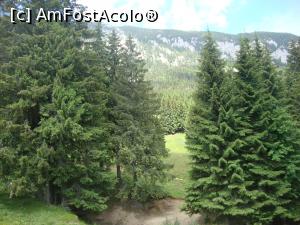 [P26] Încet-încet, ne apropiam de Cabana Curmătura.  » foto by Floryn81
 - 
<span class="allrVoted glyphicon glyphicon-heart hidden" id="av878774"></span>
<a class="m-l-10 hidden" id="sv878774" onclick="voting_Foto_DelVot(,878774,5764)" role="button">șterge vot <span class="glyphicon glyphicon-remove"></span></a>
<a id="v9878774" class=" c-red"  onclick="voting_Foto_SetVot(878774)" role="button"><span class="glyphicon glyphicon-heart-empty"></span> <b>LIKE</b> = Votează poza</a> <img class="hidden"  id="f878774W9" src="/imagini/loader.gif" border="0" /><span class="AjErrMes hidden" id="e878774ErM"></span>