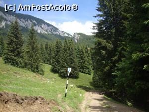 [P27] Cam din această zonă am zărit printre copaci acoperişul cabanei.  » foto by Floryn81
 - 
<span class="allrVoted glyphicon glyphicon-heart hidden" id="av878775"></span>
<a class="m-l-10 hidden" id="sv878775" onclick="voting_Foto_DelVot(,878775,5764)" role="button">șterge vot <span class="glyphicon glyphicon-remove"></span></a>
<a id="v9878775" class=" c-red"  onclick="voting_Foto_SetVot(878775)" role="button"><span class="glyphicon glyphicon-heart-empty"></span> <b>LIKE</b> = Votează poza</a> <img class="hidden"  id="f878775W9" src="/imagini/loader.gif" border="0" /><span class="AjErrMes hidden" id="e878775ErM"></span>