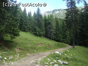 [P28] Urmăm poteca şi ne bucurăm de aerul răcoros de munte.  » foto by Floryn81
 - 
<span class="allrVoted glyphicon glyphicon-heart hidden" id="av878776"></span>
<a class="m-l-10 hidden" id="sv878776" onclick="voting_Foto_DelVot(,878776,5764)" role="button">șterge vot <span class="glyphicon glyphicon-remove"></span></a>
<a id="v9878776" class=" c-red"  onclick="voting_Foto_SetVot(878776)" role="button"><span class="glyphicon glyphicon-heart-empty"></span> <b>LIKE</b> = Votează poza</a> <img class="hidden"  id="f878776W9" src="/imagini/loader.gif" border="0" /><span class="AjErrMes hidden" id="e878776ErM"></span>