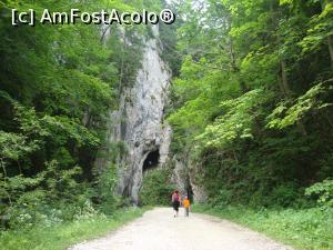 [P03] La pas prin Prăpăstiile Zărneştilor.  » foto by Floryn81
 - 
<span class="allrVoted glyphicon glyphicon-heart hidden" id="av878751"></span>
<a class="m-l-10 hidden" id="sv878751" onclick="voting_Foto_DelVot(,878751,5764)" role="button">șterge vot <span class="glyphicon glyphicon-remove"></span></a>
<a id="v9878751" class=" c-red"  onclick="voting_Foto_SetVot(878751)" role="button"><span class="glyphicon glyphicon-heart-empty"></span> <b>LIKE</b> = Votează poza</a> <img class="hidden"  id="f878751W9" src="/imagini/loader.gif" border="0" /><span class="AjErrMes hidden" id="e878751ErM"></span>