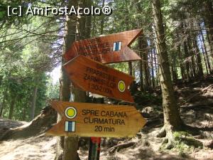 [P31] Mai aveam cam 20 de minute de mers.  » foto by Floryn81
 - 
<span class="allrVoted glyphicon glyphicon-heart hidden" id="av878779"></span>
<a class="m-l-10 hidden" id="sv878779" onclick="voting_Foto_DelVot(,878779,5764)" role="button">șterge vot <span class="glyphicon glyphicon-remove"></span></a>
<a id="v9878779" class=" c-red"  onclick="voting_Foto_SetVot(878779)" role="button"><span class="glyphicon glyphicon-heart-empty"></span> <b>LIKE</b> = Votează poza</a> <img class="hidden"  id="f878779W9" src="/imagini/loader.gif" border="0" /><span class="AjErrMes hidden" id="e878779ErM"></span>