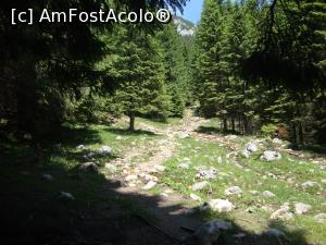 [P32] Aici am traversat un mic izvor. Se poate trece fără probleme.  » foto by Floryn81
 - 
<span class="allrVoted glyphicon glyphicon-heart hidden" id="av878780"></span>
<a class="m-l-10 hidden" id="sv878780" onclick="voting_Foto_DelVot(,878780,5764)" role="button">șterge vot <span class="glyphicon glyphicon-remove"></span></a>
<a id="v9878780" class=" c-red"  onclick="voting_Foto_SetVot(878780)" role="button"><span class="glyphicon glyphicon-heart-empty"></span> <b>LIKE</b> = Votează poza</a> <img class="hidden"  id="f878780W9" src="/imagini/loader.gif" border="0" /><span class="AjErrMes hidden" id="e878780ErM"></span>