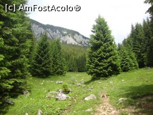 [P33] Ieşim într-un alt luminiş şi urmează o nouă zonă de urcuş susţinut.  » foto by Floryn81
 - 
<span class="allrVoted glyphicon glyphicon-heart hidden" id="av878781"></span>
<a class="m-l-10 hidden" id="sv878781" onclick="voting_Foto_DelVot(,878781,5764)" role="button">șterge vot <span class="glyphicon glyphicon-remove"></span></a>
<a id="v9878781" class=" c-red"  onclick="voting_Foto_SetVot(878781)" role="button"><span class="glyphicon glyphicon-heart-empty"></span> <b>LIKE</b> = Votează poza</a> <img class="hidden"  id="f878781W9" src="/imagini/loader.gif" border="0" /><span class="AjErrMes hidden" id="e878781ErM"></span>