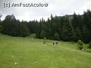 [P34] Tot mai sus, către ţinta noastră. Drumeţii din imagine ne-au depăşit puţin mai devreme. » foto by Floryn81
 - 
<span class="allrVoted glyphicon glyphicon-heart hidden" id="av878782"></span>
<a class="m-l-10 hidden" id="sv878782" onclick="voting_Foto_DelVot(,878782,5764)" role="button">șterge vot <span class="glyphicon glyphicon-remove"></span></a>
<a id="v9878782" class=" c-red"  onclick="voting_Foto_SetVot(878782)" role="button"><span class="glyphicon glyphicon-heart-empty"></span> <b>LIKE</b> = Votează poza</a> <img class="hidden"  id="f878782W9" src="/imagini/loader.gif" border="0" /><span class="AjErrMes hidden" id="e878782ErM"></span>