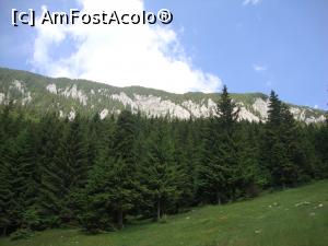 [P35] Noi am mai întârziat pentru a mai face nişte fotografii.  » foto by Floryn81
 - 
<span class="allrVoted glyphicon glyphicon-heart hidden" id="av878783"></span>
<a class="m-l-10 hidden" id="sv878783" onclick="voting_Foto_DelVot(,878783,5764)" role="button">șterge vot <span class="glyphicon glyphicon-remove"></span></a>
<a id="v9878783" class=" c-red"  onclick="voting_Foto_SetVot(878783)" role="button"><span class="glyphicon glyphicon-heart-empty"></span> <b>LIKE</b> = Votează poza</a> <img class="hidden"  id="f878783W9" src="/imagini/loader.gif" border="0" /><span class="AjErrMes hidden" id="e878783ErM"></span>