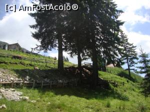 [P36] Gata! Mai sunt câţiva paşi până la cabană.  » foto by Floryn81
 - 
<span class="allrVoted glyphicon glyphicon-heart hidden" id="av878784"></span>
<a class="m-l-10 hidden" id="sv878784" onclick="voting_Foto_DelVot(,878784,5764)" role="button">șterge vot <span class="glyphicon glyphicon-remove"></span></a>
<a id="v9878784" class=" c-red"  onclick="voting_Foto_SetVot(878784)" role="button"><span class="glyphicon glyphicon-heart-empty"></span> <b>LIKE</b> = Votează poza</a> <img class="hidden"  id="f878784W9" src="/imagini/loader.gif" border="0" /><span class="AjErrMes hidden" id="e878784ErM"></span>