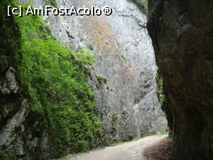 [P04] Pereţii verticali de stâncă sunt foarte apropiaţi pe alocuri.  » foto by Floryn81
 - 
<span class="allrVoted glyphicon glyphicon-heart hidden" id="av878752"></span>
<a class="m-l-10 hidden" id="sv878752" onclick="voting_Foto_DelVot(,878752,5764)" role="button">șterge vot <span class="glyphicon glyphicon-remove"></span></a>
<a id="v9878752" class=" c-red"  onclick="voting_Foto_SetVot(878752)" role="button"><span class="glyphicon glyphicon-heart-empty"></span> <b>LIKE</b> = Votează poza</a> <img class="hidden"  id="f878752W9" src="/imagini/loader.gif" border="0" /><span class="AjErrMes hidden" id="e878752ErM"></span>