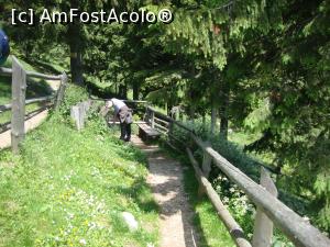 [P49] Înainte a a intra pe traseul către Fântâna lui Botorog am trecut pe lângă un alt izvor. Aşadar, în apropierea cabanei există două surse de apă!  » foto by Floryn81
 - 
<span class="allrVoted glyphicon glyphicon-heart hidden" id="av878797"></span>
<a class="m-l-10 hidden" id="sv878797" onclick="voting_Foto_DelVot(,878797,5764)" role="button">șterge vot <span class="glyphicon glyphicon-remove"></span></a>
<a id="v9878797" class=" c-red"  onclick="voting_Foto_SetVot(878797)" role="button"><span class="glyphicon glyphicon-heart-empty"></span> <b>LIKE</b> = Votează poza</a> <img class="hidden"  id="f878797W9" src="/imagini/loader.gif" border="0" /><span class="AjErrMes hidden" id="e878797ErM"></span>