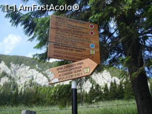 [P50] Indicatoare către o parte dintre traseele spre înălţimi. Acolo unde se avântă vulturii!  » foto by Floryn81
 - 
<span class="allrVoted glyphicon glyphicon-heart hidden" id="av878798"></span>
<a class="m-l-10 hidden" id="sv878798" onclick="voting_Foto_DelVot(,878798,5764)" role="button">șterge vot <span class="glyphicon glyphicon-remove"></span></a>
<a id="v9878798" class=" c-red"  onclick="voting_Foto_SetVot(878798)" role="button"><span class="glyphicon glyphicon-heart-empty"></span> <b>LIKE</b> = Votează poza</a> <img class="hidden"  id="f878798W9" src="/imagini/loader.gif" border="0" /><span class="AjErrMes hidden" id="e878798ErM"></span>