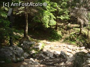 [P51] La coborâre am trecut pe lângă o troiţă.  » foto by Floryn81
 - 
<span class="allrVoted glyphicon glyphicon-heart hidden" id="av878799"></span>
<a class="m-l-10 hidden" id="sv878799" onclick="voting_Foto_DelVot(,878799,5764)" role="button">șterge vot <span class="glyphicon glyphicon-remove"></span></a>
<a id="v9878799" class=" c-red"  onclick="voting_Foto_SetVot(878799)" role="button"><span class="glyphicon glyphicon-heart-empty"></span> <b>LIKE</b> = Votează poza</a> <img class="hidden"  id="f878799W9" src="/imagini/loader.gif" border="0" /><span class="AjErrMes hidden" id="e878799ErM"></span>