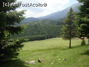[P52] Am trecut pe lângă o poiană mare şi frumoasă. Mai aveam totuşi câteva minute de mers până în Poiana Zănoaga!  » foto by Floryn81
 - 
<span class="allrVoted glyphicon glyphicon-heart hidden" id="av878800"></span>
<a class="m-l-10 hidden" id="sv878800" onclick="voting_Foto_DelVot(,878800,5764)" role="button">șterge vot <span class="glyphicon glyphicon-remove"></span></a>
<a id="v9878800" class=" c-red"  onclick="voting_Foto_SetVot(878800)" role="button"><span class="glyphicon glyphicon-heart-empty"></span> <b>LIKE</b> = Votează poza</a> <img class="hidden"  id="f878800W9" src="/imagini/loader.gif" border="0" /><span class="AjErrMes hidden" id="e878800ErM"></span>