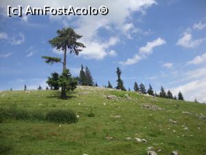 [P56] Peisaj de vis din Poiana Zănoaga.  » foto by Floryn81
 - 
<span class="allrVoted glyphicon glyphicon-heart hidden" id="av878804"></span>
<a class="m-l-10 hidden" id="sv878804" onclick="voting_Foto_DelVot(,878804,5764)" role="button">șterge vot <span class="glyphicon glyphicon-remove"></span></a>
<a id="v9878804" class=" c-red"  onclick="voting_Foto_SetVot(878804)" role="button"><span class="glyphicon glyphicon-heart-empty"></span> <b>LIKE</b> = Votează poza</a> <img class="hidden"  id="f878804W9" src="/imagini/loader.gif" border="0" /><span class="AjErrMes hidden" id="e878804ErM"></span>