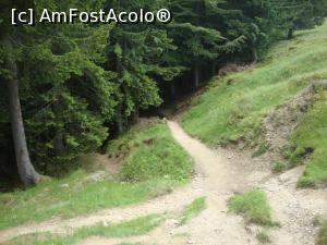 [P57] Poteca intră în pădure şi începe coborârea spre Fântâna lui Botorog.  » foto by Floryn81
 - 
<span class="allrVoted glyphicon glyphicon-heart hidden" id="av878805"></span>
<a class="m-l-10 hidden" id="sv878805" onclick="voting_Foto_DelVot(,878805,5764)" role="button">șterge vot <span class="glyphicon glyphicon-remove"></span></a>
<a id="v9878805" class=" c-red"  onclick="voting_Foto_SetVot(878805)" role="button"><span class="glyphicon glyphicon-heart-empty"></span> <b>LIKE</b> = Votează poza</a> <img class="hidden"  id="f878805W9" src="/imagini/loader.gif" border="0" /><span class="AjErrMes hidden" id="e878805ErM"></span>