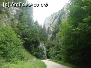 [P06] Ne bucurăm de fiecare pas făcut prin aceste fabuloase chei.  » foto by Floryn81
 - 
<span class="allrVoted glyphicon glyphicon-heart hidden" id="av878754"></span>
<a class="m-l-10 hidden" id="sv878754" onclick="voting_Foto_DelVot(,878754,5764)" role="button">șterge vot <span class="glyphicon glyphicon-remove"></span></a>
<a id="v9878754" class=" c-red"  onclick="voting_Foto_SetVot(878754)" role="button"><span class="glyphicon glyphicon-heart-empty"></span> <b>LIKE</b> = Votează poza</a> <img class="hidden"  id="f878754W9" src="/imagini/loader.gif" border="0" /><span class="AjErrMes hidden" id="e878754ErM"></span>