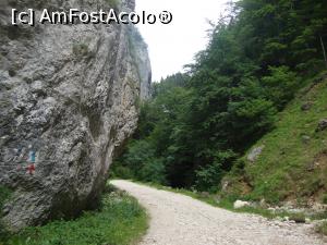 [P07] După curbă ce-o fi oare?!  » foto by Floryn81
 - 
<span class="allrVoted glyphicon glyphicon-heart hidden" id="av878755"></span>
<a class="m-l-10 hidden" id="sv878755" onclick="voting_Foto_DelVot(,878755,5764)" role="button">șterge vot <span class="glyphicon glyphicon-remove"></span></a>
<a id="v9878755" class=" c-red"  onclick="voting_Foto_SetVot(878755)" role="button"><span class="glyphicon glyphicon-heart-empty"></span> <b>LIKE</b> = Votează poza</a> <img class="hidden"  id="f878755W9" src="/imagini/loader.gif" border="0" /><span class="AjErrMes hidden" id="e878755ErM"></span>