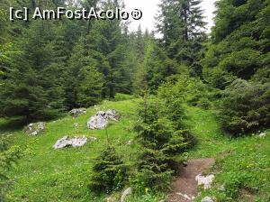 [P24] Înapoi prin pădure spre Cabana Curmătura.  » foto by Floryn81
 - 
<span class="allrVoted glyphicon glyphicon-heart hidden" id="av1078717"></span>
<a class="m-l-10 hidden" id="sv1078717" onclick="voting_Foto_DelVot(,1078717,5764)" role="button">șterge vot <span class="glyphicon glyphicon-remove"></span></a>
<a id="v91078717" class=" c-red"  onclick="voting_Foto_SetVot(1078717)" role="button"><span class="glyphicon glyphicon-heart-empty"></span> <b>LIKE</b> = Votează poza</a> <img class="hidden"  id="f1078717W9" src="/imagini/loader.gif" border="0" /><span class="AjErrMes hidden" id="e1078717ErM"></span>