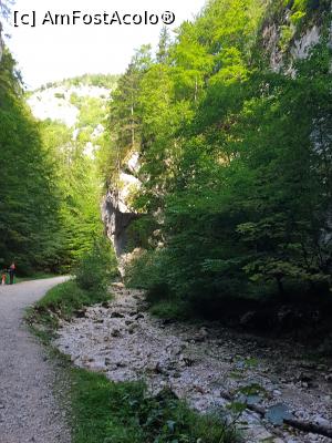 [P21] prin Prăpăstiile Zărneștiului » foto by robert
 - 
<span class="allrVoted glyphicon glyphicon-heart hidden" id="av1183118"></span>
<a class="m-l-10 hidden" id="sv1183118" onclick="voting_Foto_DelVot(,1183118,5764)" role="button">șterge vot <span class="glyphicon glyphicon-remove"></span></a>
<a id="v91183118" class=" c-red"  onclick="voting_Foto_SetVot(1183118)" role="button"><span class="glyphicon glyphicon-heart-empty"></span> <b>LIKE</b> = Votează poza</a> <img class="hidden"  id="f1183118W9" src="/imagini/loader.gif" border="0" /><span class="AjErrMes hidden" id="e1183118ErM"></span>