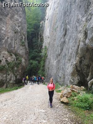 [P22] prin Prăpăstiile Zărneștiului » foto by robert
 - 
<span class="allrVoted glyphicon glyphicon-heart hidden" id="av1183119"></span>
<a class="m-l-10 hidden" id="sv1183119" onclick="voting_Foto_DelVot(,1183119,5764)" role="button">șterge vot <span class="glyphicon glyphicon-remove"></span></a>
<a id="v91183119" class=" c-red"  onclick="voting_Foto_SetVot(1183119)" role="button"><span class="glyphicon glyphicon-heart-empty"></span> <b>LIKE</b> = Votează poza</a> <img class="hidden"  id="f1183119W9" src="/imagini/loader.gif" border="0" /><span class="AjErrMes hidden" id="e1183119ErM"></span>