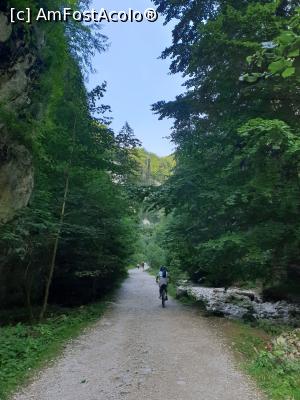 [P25] prin Prăpăstiile Zărneștiului » foto by robert
 - 
<span class="allrVoted glyphicon glyphicon-heart hidden" id="av1183122"></span>
<a class="m-l-10 hidden" id="sv1183122" onclick="voting_Foto_DelVot(,1183122,5764)" role="button">șterge vot <span class="glyphicon glyphicon-remove"></span></a>
<a id="v91183122" class=" c-red"  onclick="voting_Foto_SetVot(1183122)" role="button"><span class="glyphicon glyphicon-heart-empty"></span> <b>LIKE</b> = Votează poza</a> <img class="hidden"  id="f1183122W9" src="/imagini/loader.gif" border="0" /><span class="AjErrMes hidden" id="e1183122ErM"></span>